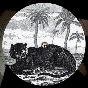 Tigerskin – Try The Impossible EP