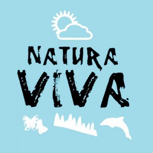 VIVA 2012.1 VIVA 2012.1