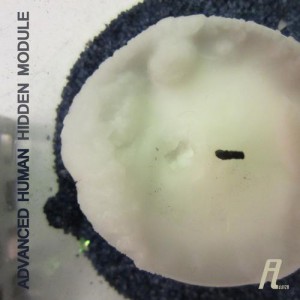 Advanced Human – Hidden Module