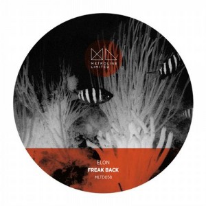 Elon – Freak Back