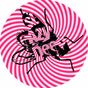 Jobe – The Jam