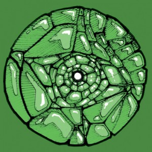 Francisco Allendes – So Long Reptilians