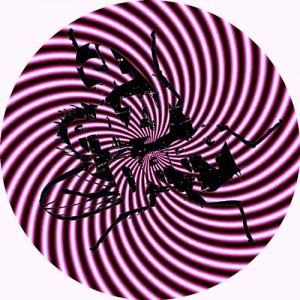 Marco Darko – Love & Leave Them