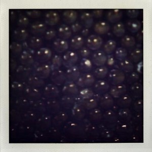 Sucre Sale – Caviar & Champagne Sucre Sale – Caviar & Champagne