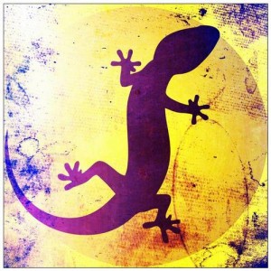 DJ Fronter – Matador DJ Fronter – Matador