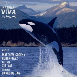 Rober Gaez, Matthew Codek – Xit Xat [NAT122]