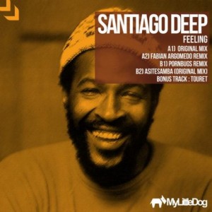 Santiago Deep – Feeling [MLD031]