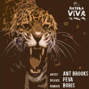 Ant Brooks – Peva [NAT128]
