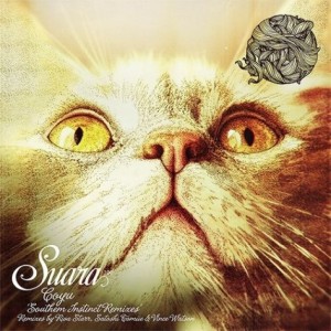 Coyu – Southern Instinct Remixes [SUARA100]