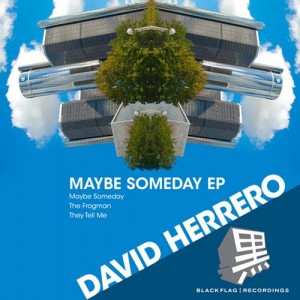 David Herrero – Maybe Someday [BFR013]