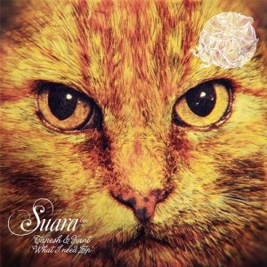 Tapesh, KANT – What I Need EP [SUARA099]
