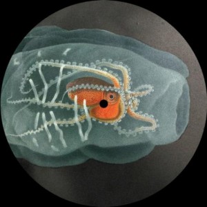 Alejandro Mosso – Mosso005 [MOSSO005]
