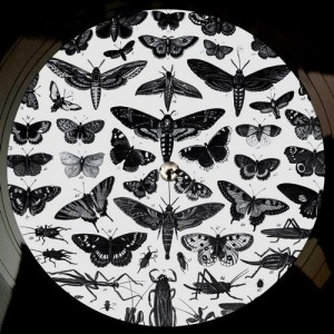 Bodhi – Imperfection / No More [FCL96]