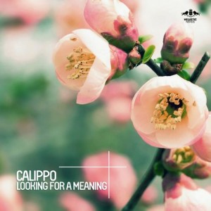 Calippo – Looking For a Meaning [ETR182]