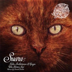Edu Imbernon, Coyu – The Storm EP [SUARA109]