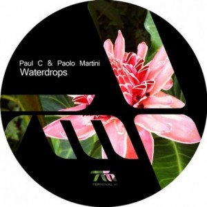 Paul C, Paolo Martini – Waterdrops EP [TERM105]