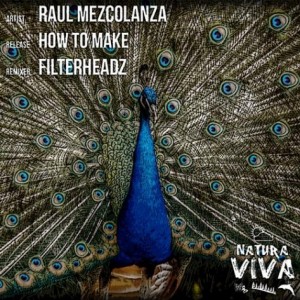 Raul Mezcolanza – How To Make [NAT145]