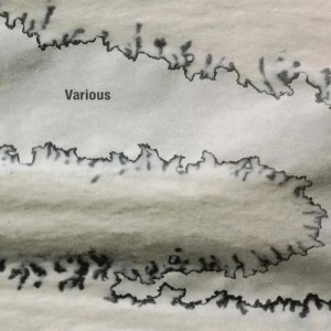 VA – Various [OTON070]