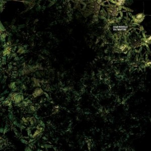 Cesar Merveille – DEA / Kraftone [CADENZA91]