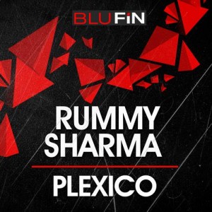 Rummy Sharma – Plexico Rummy Sharma – Plexico