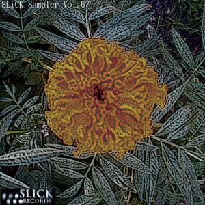 VA - SLiCK Sampler Vol. 6 VA - SLiCK Sampler Vol. 6