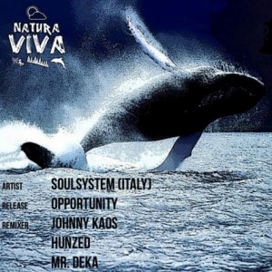 Soulsystem (Italy) – Opportunity [NAT156]