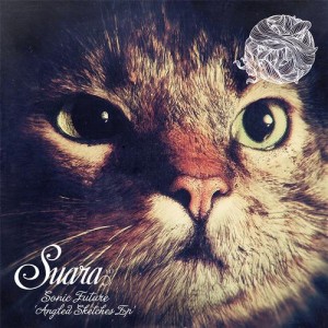 Sonic Future – Angled Sketches EP [SUARA117]