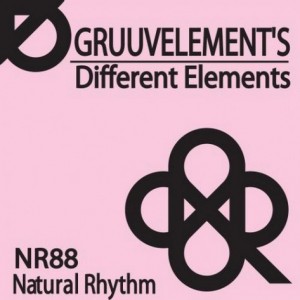 GruuvElement’s – Different Elements [N91]