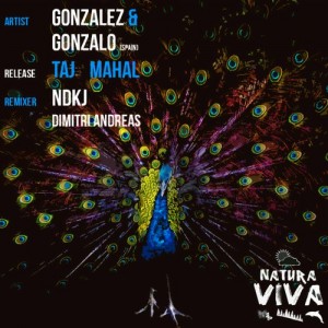 Gonzalez, Gonzalo (Spain) – Taj Mahal [NAT176]