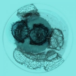 Martin’s – Martin’s EP [PSL048]
