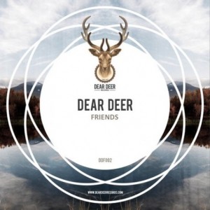 VA – Dear Friends Vol. 2 [DDF002]