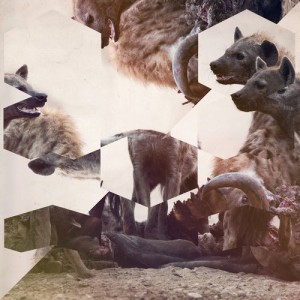 Hyenah – The Wish [FRD190]