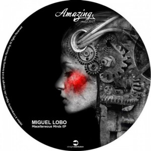 Miguel Lobo – Miscellaneous Minds [AMAZING028]