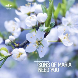 Sons Of Maria – Need You