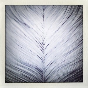 Sucre Sale – She’s Like The Wind [DTZ045BP]