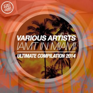 VA – IAMT In Miami 2014 [IAMTC001]