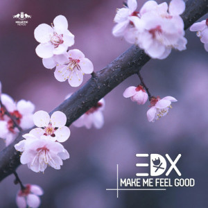 EDX – Make Me Feel Good
