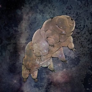 Plautze – Ausufernd [BIOLAB003]