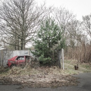 Scherbe – Late Nite Safari [UV022]