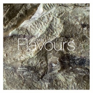 VA – Annua Flavours (Mixed Pablo Bolivar) [7V003]