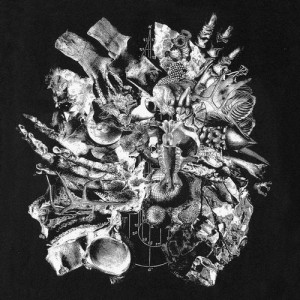 Clockwork, Avatism, CW_A – Conducting The Method [VA058]