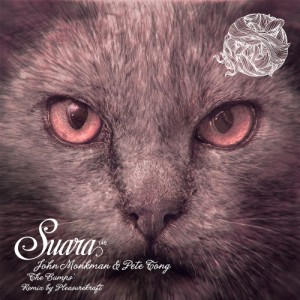 Pete Tong & John Monkman – The Bumps EP [SUARA146]