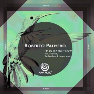 Roberto Palmero – I’m So Fly Right Now [PUR067]