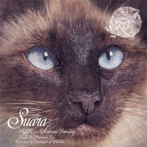 Affkt, Thomas Gandey – Lost In Process EP [SUARA153]