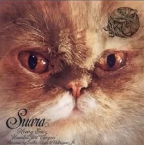 Henry Saiz – Haunted Girl Canyon