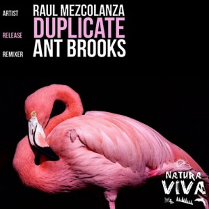 Raul Mezcolanza – Duplicate [NAT216]