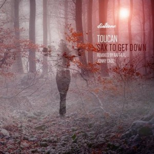 Toucan – Sax To Get Down [DT093]
