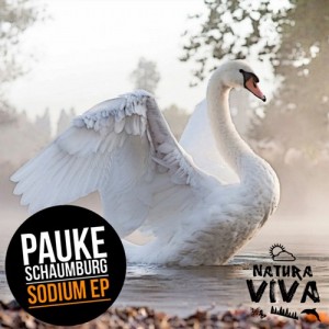 Pauke Schaumburg – Sodium Ep [NAT229]