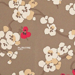Plantae – Prana EP [CPD018]