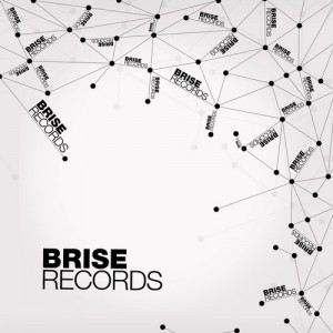Die Vogelperspektive – Back From Plastic E.P. [BRISE058]